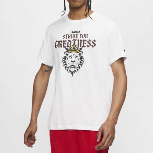 Nike Other - Nike Dri-FIT Lebron Strive For Greatness DRI-FIT TEE Men Sz L CD1320-100